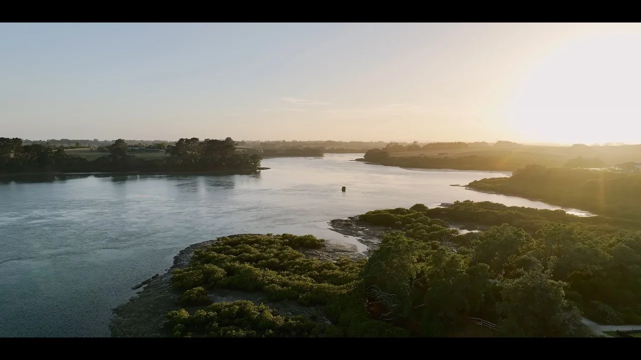 Te Tautara o Pukekohe: Mātauranga in Horticulture film thumbnail